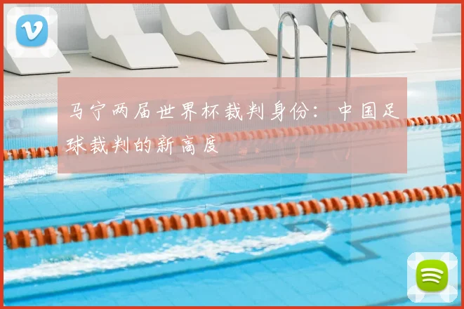 马宁两届世界杯裁判身份：中国足球裁判的新高度