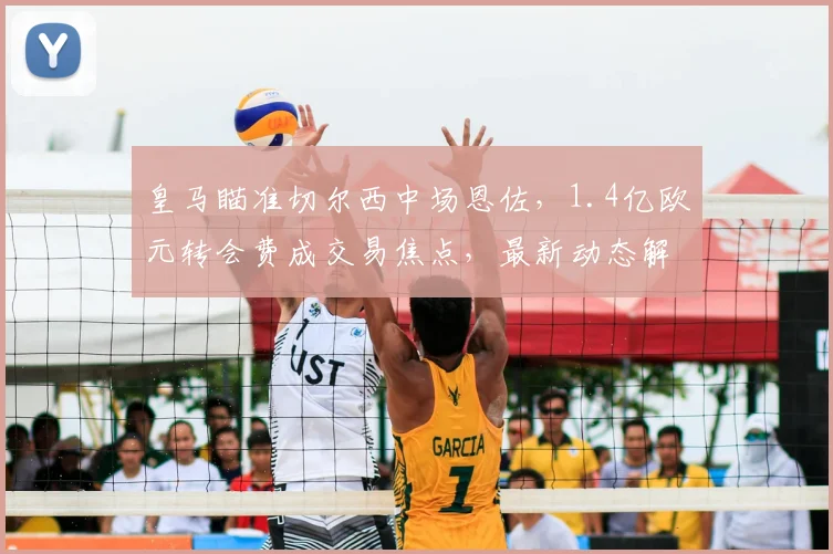 皇马瞄准切尔西中场恩佐,1.4亿欧元转会费成交易焦点,最新动态解析